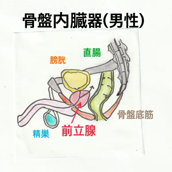 慢性がまん症候群 Castleman-TAFRO症候群研究会 - 症例の画像。 a, 全身CT scan